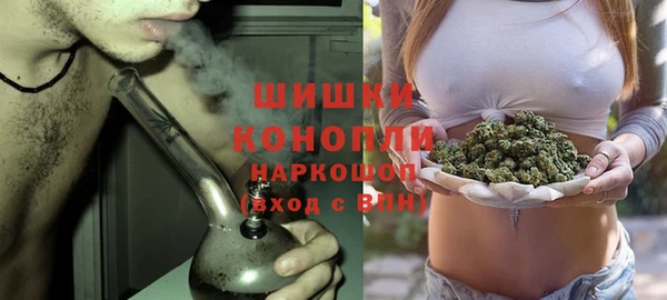 прущий лед Богданович
