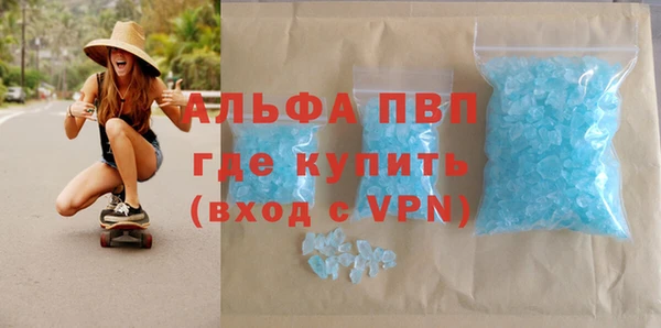 прущий лед Богданович