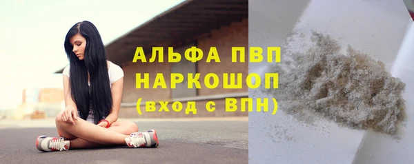 прущий лед Богданович