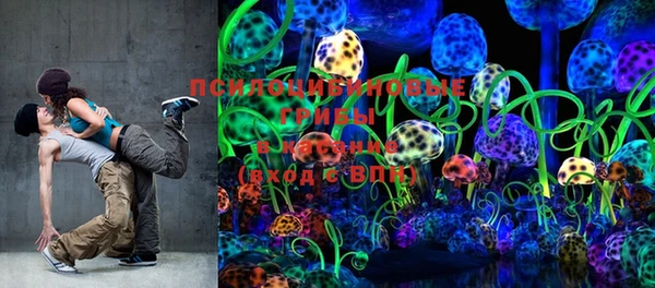 прущий лед Богданович