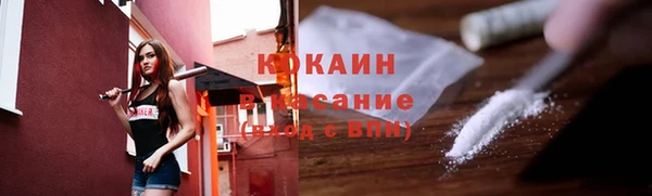 крисы Богородицк