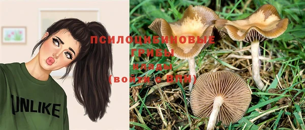 прущий лед Богданович