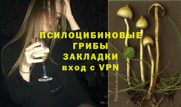 mix Богородск