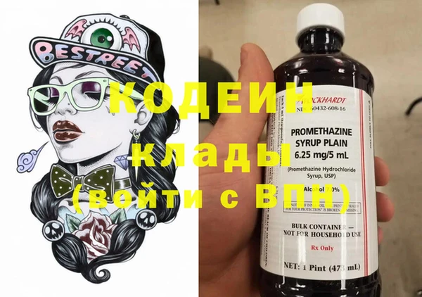 крисы Богородицк