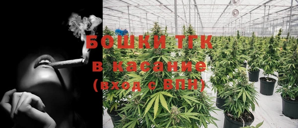 крисы Богородицк