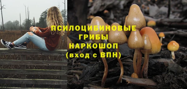 mdpv Аша