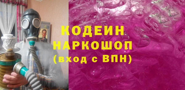 крисы Богородицк