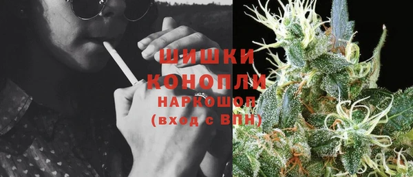 прущий лед Богданович