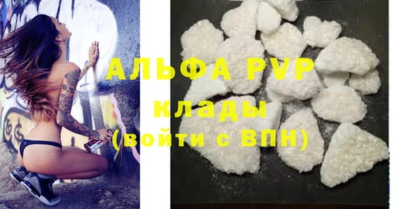 крисы Богородицк