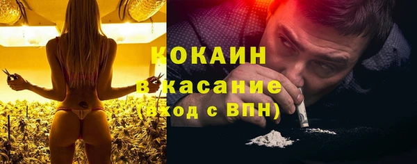 крисы Богородицк