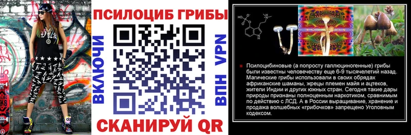 Псилоцибиновые грибы Cubensis  Видное 